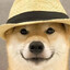 Doge