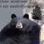 витец V&lt;3