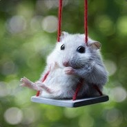 Ar