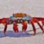 Mr.Crab763
