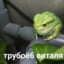D0rmamm1