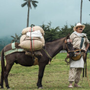 Paisa Táctico