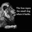The Lion