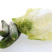 白菜黄瓜