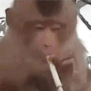 没有火柴头不有我侯