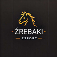 Kopo_ŹI_ESPORTcase.gift