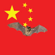 CHINESE BAT MAPPING