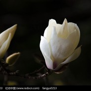 非诚勿扰一号男嘉宾