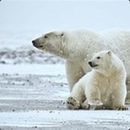 salty_bear