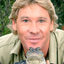 Steve Irwin