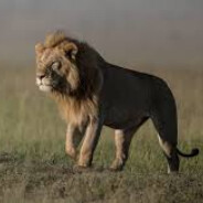 EasyJeet1 - steam id 76561198077786888