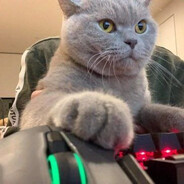 Steam Avatar