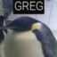 Greg