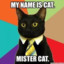 Mistercat