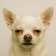 гаврик фельштабо