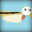 DuckSaysMoo