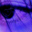 𝙵𝚘𝚙𝚘𝚉