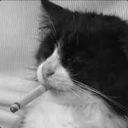 Сергей Учиха