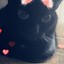 TTV_FaceKitty
