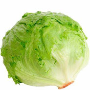 Iceberg Lettuce