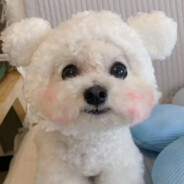 进游戏不动就是在玩手