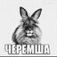 Черемшой полейте