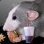 Rat Food