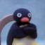 Pingu