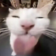 上等马--------↑---------