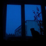 EnDagRenFrånConcerta