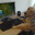 REAL GAMING DOG avatar