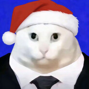 Mr.哈基猫雷先生