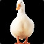 Portugeese