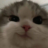Yayo