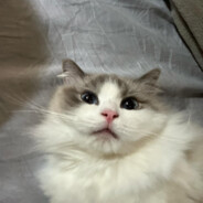 Красивый парень