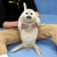 Ultra-Gigachonk Baby Harp Seal