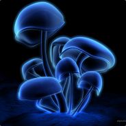 MagicMushroom.at - steam id 76561197960467905