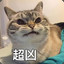玉玉
