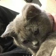 单肾也能一小时