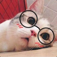 yyyyu