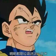 贝吉塔王子#CSGO真箱