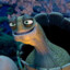 Oogway