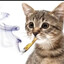 tweaKing Kittyyy!!!