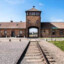 Pierdolone Auschwitz