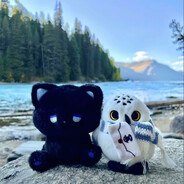 go学长会梦到蛋仔学弟吗