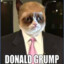 DonaldGrump