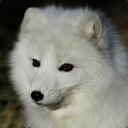 003 - steam id 76561197961402650