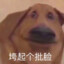 H1gh