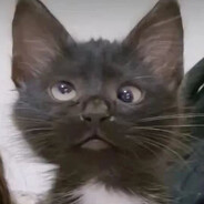 我的眼睛就是尺