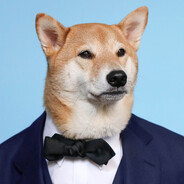 Mr. dawgo